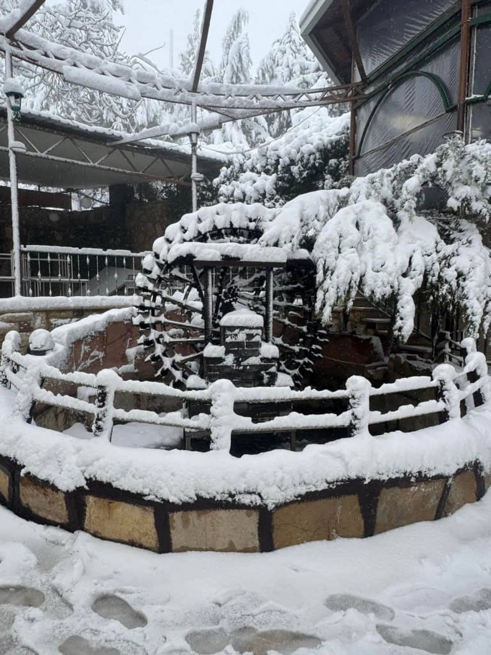 مطعم النزيه ( بلودان)