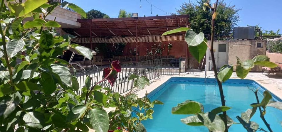 مزرعة كروم مضايا 