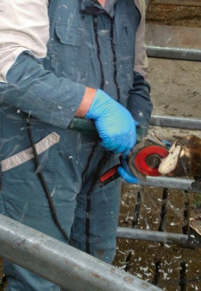 قرص قطع الحوافر P6 - احمر