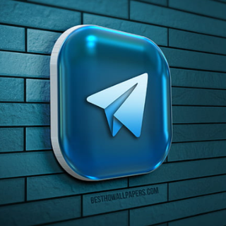 Telegram followers