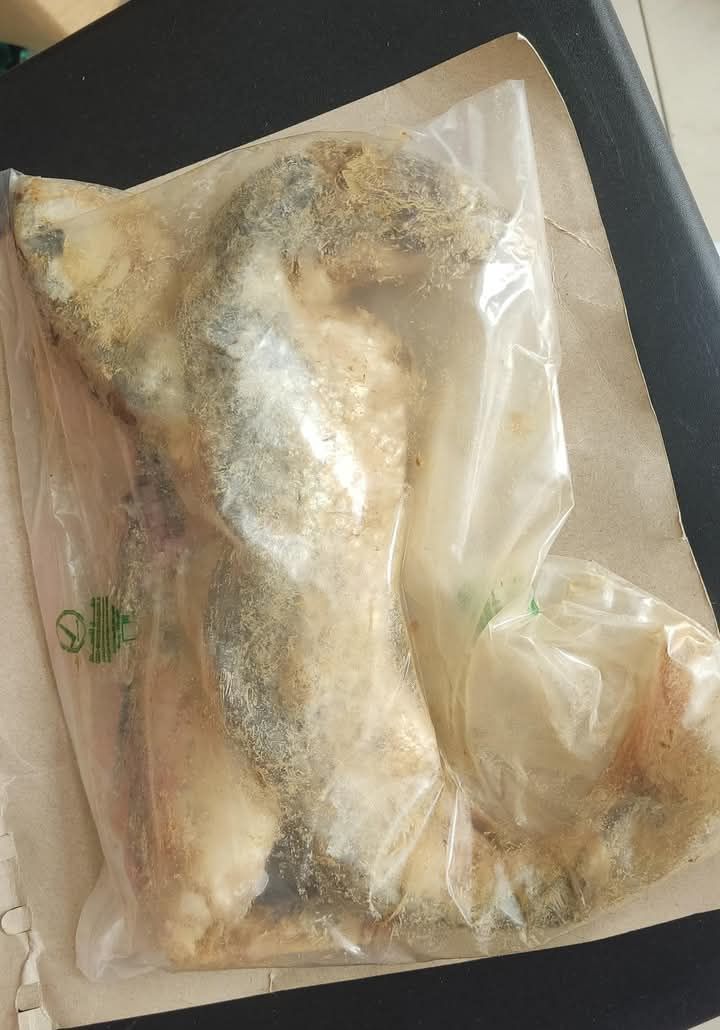 فسيخ كاس 500 جرام 