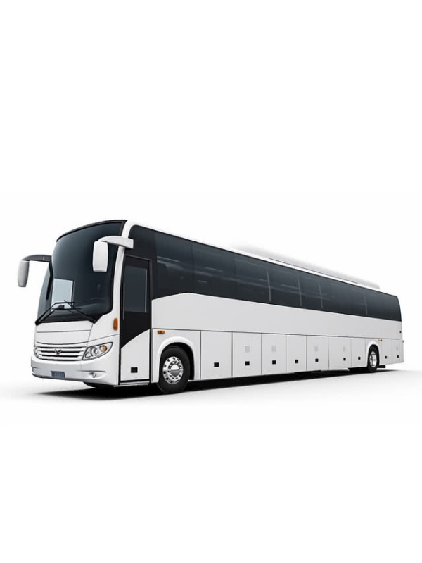 نقل مطار دمشق (ضمن دمشق ) باص كبير