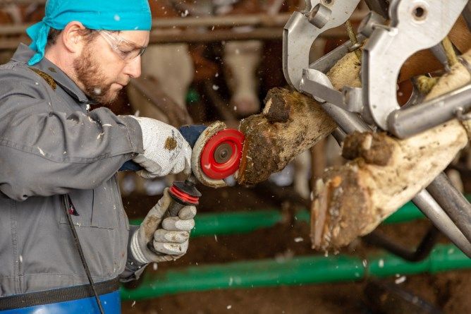 قرص قطع الحوافر P6 - احمر