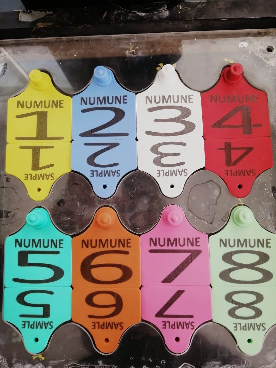 ارقام بطاقات الاذن للابقار حجم وسط  (66mm x 56mm (