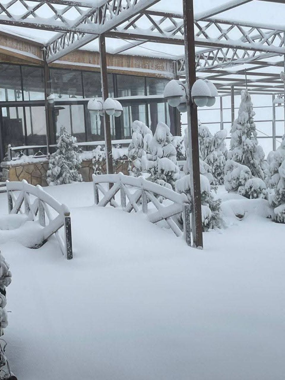 مطعم كرم العلالي