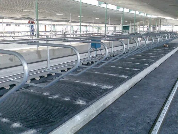 فرشات ابقار - أرضيات مطاطية للأبقار