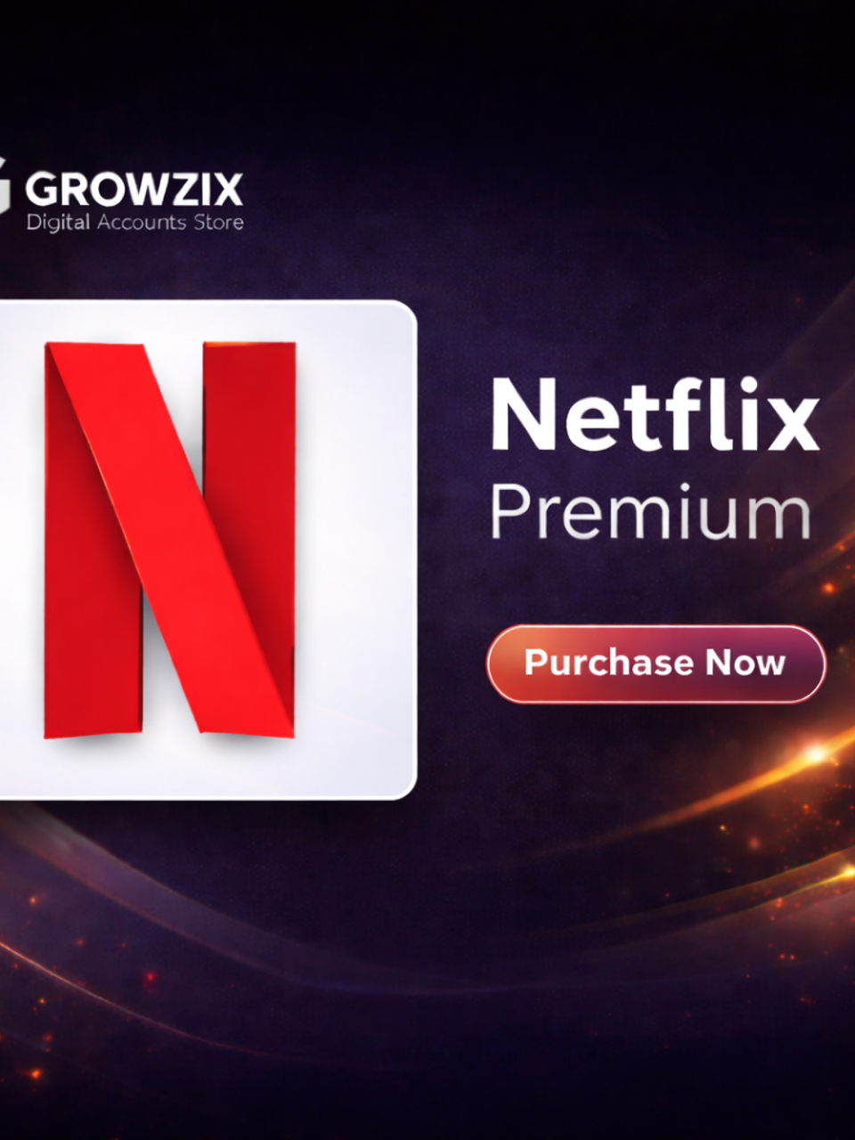 NETFLIX 1 USER 1 MONTH