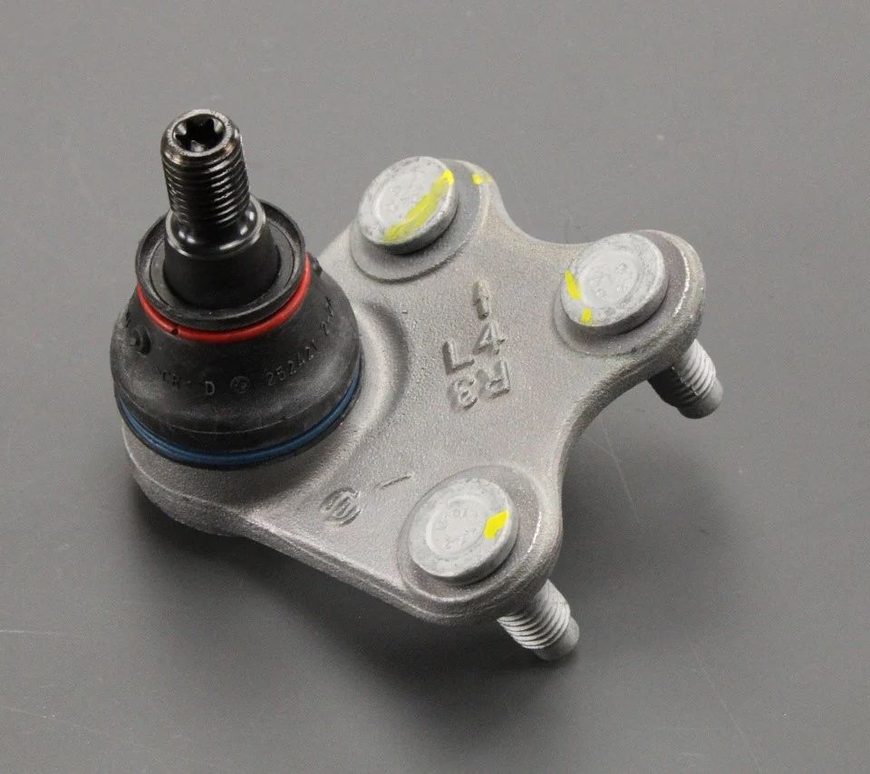 بيض مقص رابيد شمال