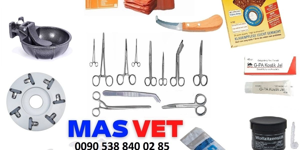 الخيار الافضل