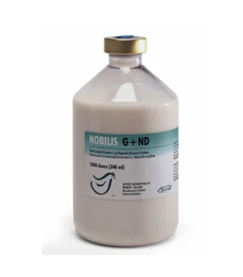 Nobilis G+ND