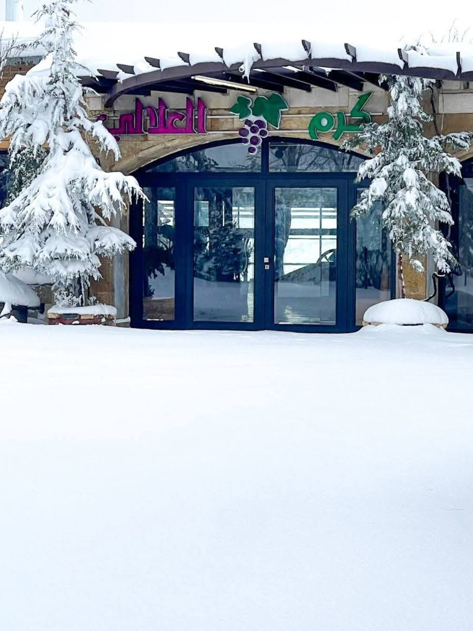 مطعم كرم العلالي