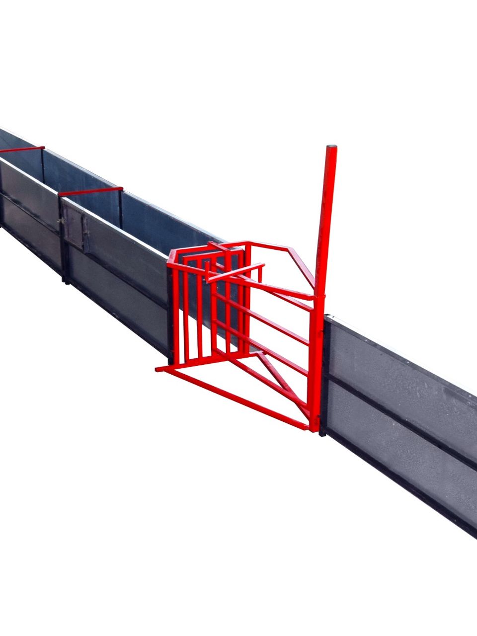 Herd Vaccination Path