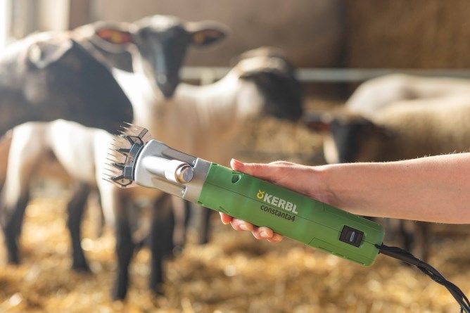 ماكينة قص الأغنام كونستانتا 4 للأغنام والماعز