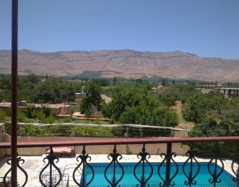 مزرعة كروم مضايا 