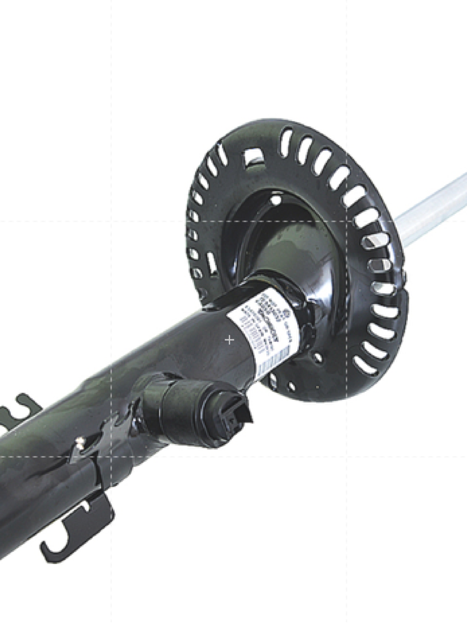 مساعد امامي ليون