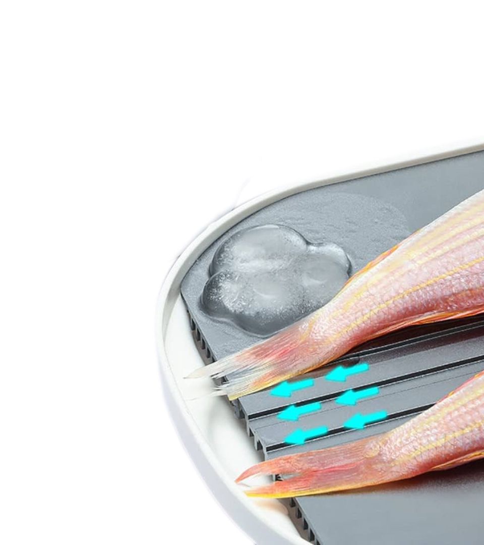 جهاز اذابة الطعام المجمد